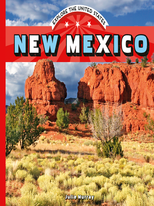 Cover image for New Mexico